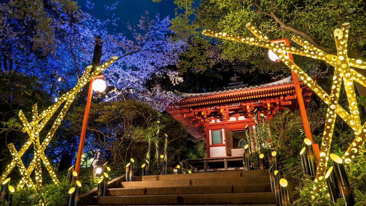 Moon-gazing tradition in Takanawa