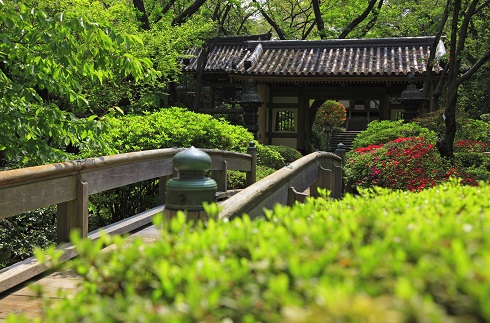 Enchanting view of Japanese Garden