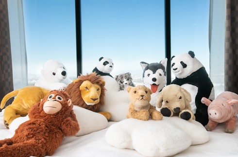 FUWAMOKO ANIMAL-ROOM Stay Plan